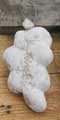 Katak�ny�ke (16K)