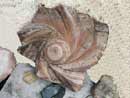 Csigavonalban (16K)