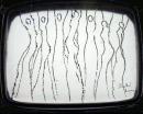 T�nc (16K)