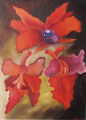 Orchideák III. (12 K)