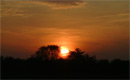 Out Africa (16K)