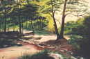 Park II. (28 K)