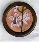 Orchidea<br> (16K)