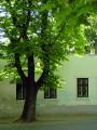 �reg h�z az egykori N�met utc�ban (16K)