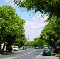 A R�k�czi utca az �jv�rosi templommal (16K)