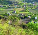 Sz�l�k �s tany�k a Kisb�d�ben (16K)