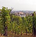 A v�ros a Benedek-tet�r�l (16K)